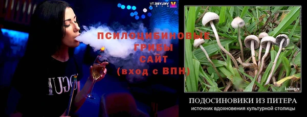 дурь Гусиноозёрск