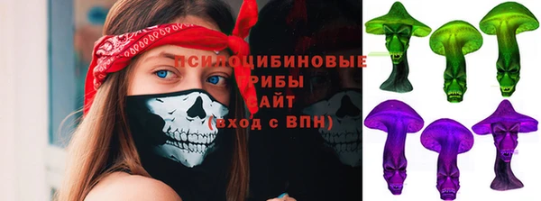 стаф Няндома