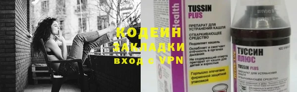 дурь Гусиноозёрск