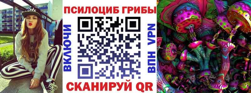 цена наркотик  Инза  Галлюциногенные грибы Magic Shrooms 